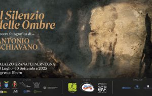 Dal 20 luglio a Palazzo Granafei-Nervegna la mostra antologica “Il Silenzio delle Ombre” di Antonio Schiavano