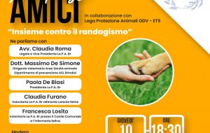 Caffè tra Amici: un podcast per dire basta al randagismo