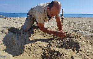 Scoperto nido di tartaruga marina: il personale di Torre Guaceto sul campo