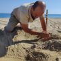 Scoperto nido di tartaruga marina: il personale di Torre Guaceto sul campo
