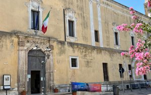 “Radici Future”: a Mesagne il Comune assegna gratuitamente piantine di ulivo resistenti alla Xylella