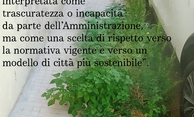 Brindisi soffocata dalle erbacce, ma per l’assessore è “sostenibilità”. Di Andrea Vinciguerra