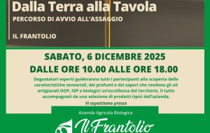 A Cisternino un viaggio nel mondo dell’olio: l’esperienza sensoriale de “Il Frantolio”