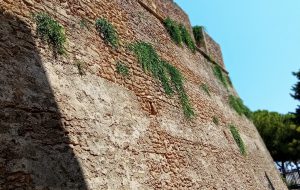 Il gioco del nascondino della nostra amministrazione. Di Vincenzo Albano