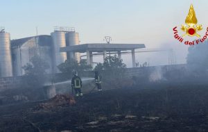 Grosso incendio alle spalle della cantina di Tuturano: l’intervento dei Vigili del Fuoco scongiura il peggio