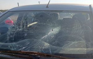 Parabrezza sfondati, gomme squarciate e carrozzerie devastate: vandali in azione ad Apani