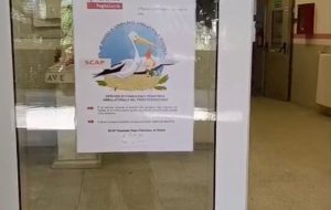 Attivato il Servizio di Consulenza Ambulatoriale Pediatrica nel Pronto soccorso dell’ospedale di Ostuni
