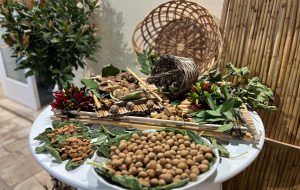 San Michele Salentino celebra il suo frutto identitario: torna il Festival del Fico Mandorlato