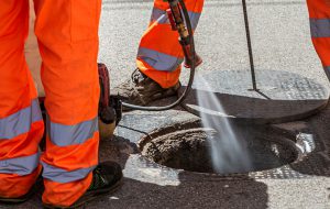 Deblattizzazione e derattizzazione: il Comune di Ostuni invita i cittadini ad intervenire nelle aree private dove i servizi comunali non possono operare