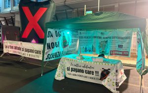 Festa Patronale: l’impegno di Teknoservice per il decoro e la pulizia