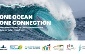 One Ocean – One Connection: aperte le candidature per l’artista che realizzerà il murale italiano a Torre Guaceto