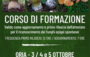 E’ tempo di funghi ma, attenzione, vanno fatti controllare: “Troppi gli intossicati”