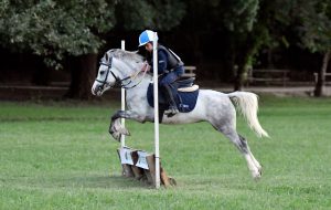 Equitazione, Coppa delle Regioni: la Puglia ancora sul podio