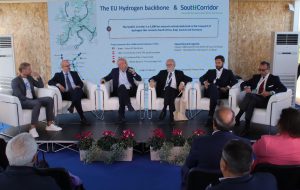 Energia, Lippolis: “L’idrogeno è un vettore che può consentire al Paese di avere una filiera industriale sempre più forte”