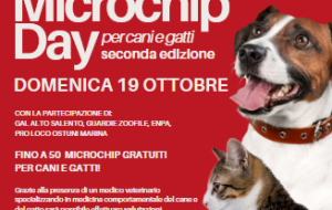 Free Microchip Day per cani e gatti: a Ostuni la seconda edizione