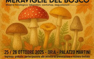 Le Meraviglie del Bosco: Oria ospita una mostra micologica con escursione, workshop e degustazione