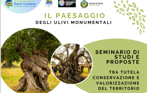 Il paesaggio della Piana degli ulivi monumentali fra tutela e valorizzazione: domani seminario di studio ad Ostuni