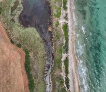 Progetto ACTION: al Parco Dune Costiere un incontro con gli stakeholder sugli effetti del cambiamento climatico