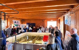 Progetto TRITON: Torre Guaceto al centro della cooperazione europea per la gestione sostenibile delle aree marine protette