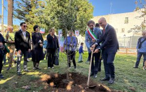 Hortus Ostuni: l’Hibakujumoku di Hiroshima piantato nella Villa “Pertini”  un simbolo di pace e rinascita