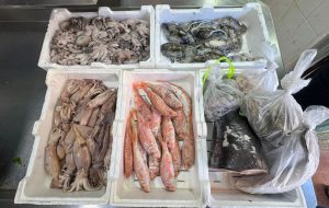 Prodotti ittici senza etichetta e tracciabilità: chiusa pescheria di Brindisi