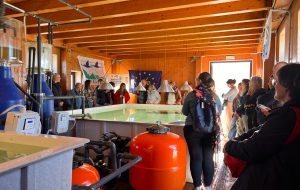 A Torre Guaceto tre giornate di formazione del progetto ASPEH: esperti e enti dell’Adriatico insieme per la tutela delle specie protette