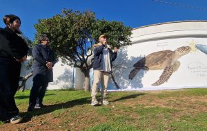 Dalla riserva in Puglia a quella in Sud Africa: inaugurato a Torre Guaceto il primo progetto al mondo di murales oceanici gemelli