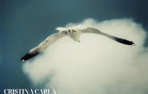 Venerdì 19 dicembre c’è CARA, concerto sensoriale e poetico al Mediaporto di Brindisi