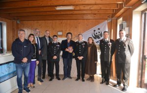 Riunione operativa tra Carabinieri e Consorzio di Gestione di Torre Guaceto: incrementati i controlli e le attività di educazione ambientale.