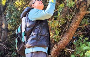 Dare voce alla natura: torna il corso di animatore ambientale della Cooperativa Thalassia