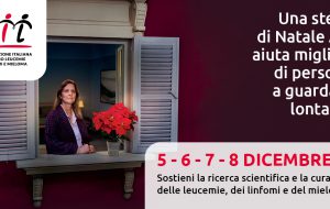 Tornano le Stelle di Natale dell’AIL: l’elenco delle piazze a Brindisi e in provincia