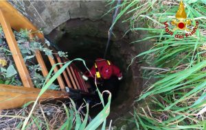 Cane da caccia cade in un pozzo sulla litoranea salentina  Salvato dai Vigili del Fuoco dopo una lunga notte a sei metri di profondità