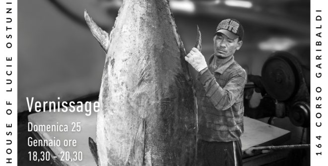 Domenica 25 gennaio inaugura la mostra fotografica “Best of Show” nella House of Lucie di Ostuni