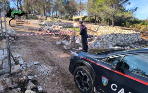 Tagliano bosco in contrada Pascarosa: intervengono i Carabinieri Forestali
