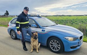 La Polizia di Stato di Brindisi salva cane vagante sulla statale