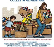 Quando un gesto semplice diventa speranza: torna la Colletta Alimentare