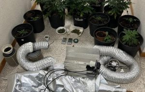 Coltivavano droga in casa: arrestati dalla Squadra Mobile di Brindisi