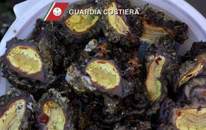 Conclusa l’operazione Fish Net: sotto osservazione la filiera della pesca