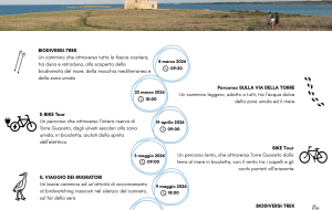 Progetto NATURES: nella Riserva di Torre Guaceto parte la campagna di sensibilizzazione per specie e habitat prioritari