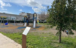Parco giochi inclusivo a Carovigno: inaugurato il nuovo spazio di socialità in piazzetta Caduti di Nassirya