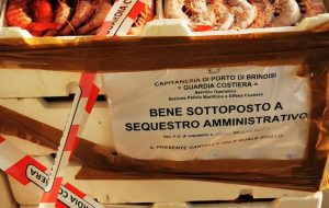 Guardia Costiera: sequestrato mezzo quintale di prodotto ittico privo di tracciabilità