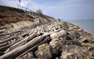 Brindisi, dove i crolli non fanno rumore. Di Ida Santoro