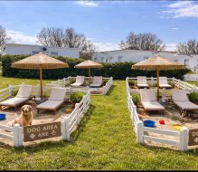 Beach One lancia il primo lido della provincia attrezzato con area cani