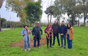 Un albero per ricordare Mauro Masiello
