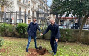 Ospedale Papa Francesco di Ostuni, due ulivi simbolo di pace e speranza