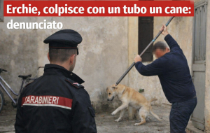 Colpisce ripetutamente cane con un tubo metallico: denunciato dai Carabinieri