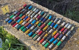 Rinvenute otto auto cannibalizzate, un fucile e cartucce di vario calibro