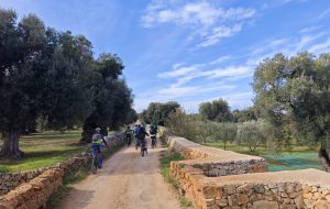 Nasce Ostuni to Live, il nuovo calendario condiviso dedicato al turismo esperienziale