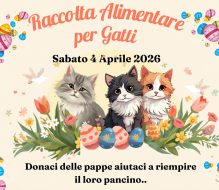 Sabato 4 aprile a Brindisi raccolta alimentare per gatti