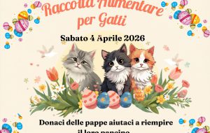 Sabato 4 aprile a Brindisi raccolta alimentare per gatti